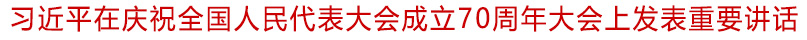 習近平在慶祝全國人民代表大會成立70周年大會上發表重要講話.jpg